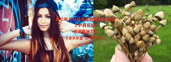 не бодяженный Арсеньев